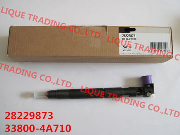الصين DELPHI 33800-4A710 حاقن السكك الحديدية المشترك الأصلي والجديد 28229873 / 33800-4A710 / 338004A710 لـ HYUNDA KIA المزود