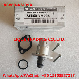 الصين مجموعات DENSO Overhaul A6860-VM09A ، تشمل صمام 294200-0360 NISSAN A6860VM09A المزود