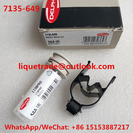 الصين أطقم إصلاح DELPHI الأصلية 7135-649 (تشمل فوهة L138PRD + صمام 28538389) مجموعات الإصلاح 7135649 ، 7135649 المزود