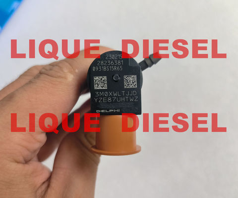 الصين حقن سكة الوقود المشتركة DELPHI 28236381 33800-4A700 338004A700 لـ HYUNDAI Starex 33800 4A700 المزود