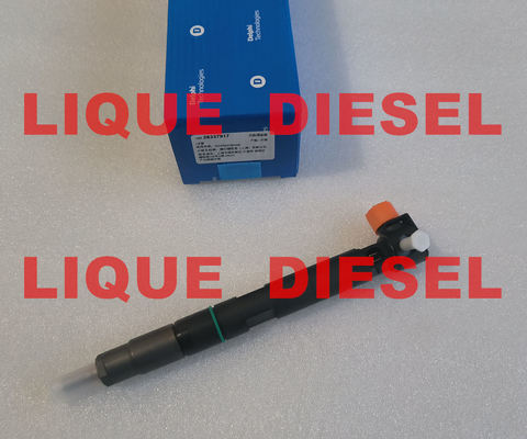 الصين ديلفي حقن الوقود 28337917 400903-00074D 400903-00074C 40090300074D 40090300074C لدوسان المزود