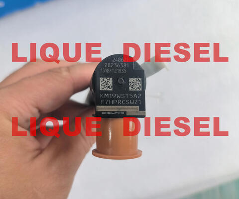 الصين حقن الوقود 33800-4A700 28236381 حقن السكة الحديدية الشائعة 4A700 28236381 33800 4A700 338004A700 المزود