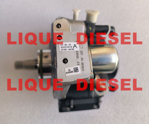 DELPHI fuel pump 9422A060A 9422A060 33100-4A700 331004A700 33100 4A700 for HYUNDAI & KIA المزود