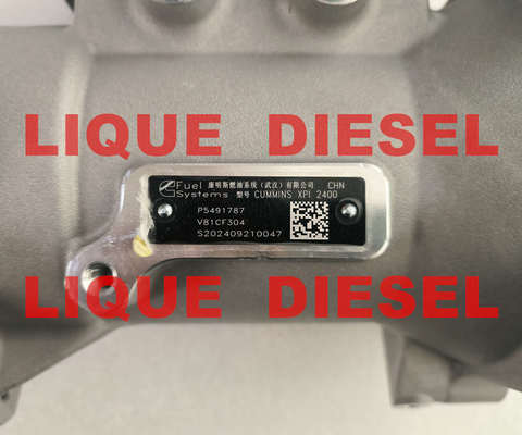 كومينز إكس بي آي 2400 مضخة الوقود P5491787 5491787 المزود