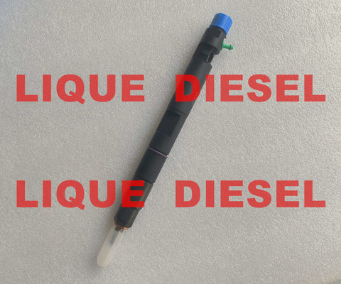 DELPHI Fuel Injector 28229876 Common Rail Injector 320 06827 320/06827 32006827 320-06827 for JCB 4.4D المزود