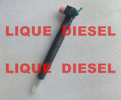 DELPHI 28308779 Fuel Injector 28308779 common rail injector A6510703287 6510703287 المزود