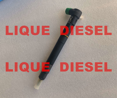 DELPHI fuel injector 28384645 A6720170021 6720170021 for SSANGYONG D22 EURO 6 المزود