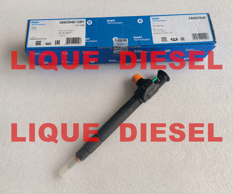 DELPHI Common Rail Injector 28602948 9674984080 28388960 28319895 D57Q-9F-893-BB D57Q9F893BB المزود