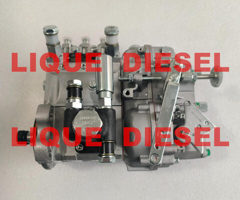مضخة الوقود الأصلية B3A504 BH3A95R مضخة السكك الحديدية الشائعة المزود